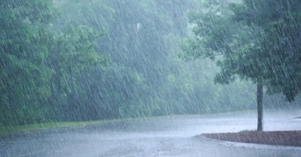 雨の画像