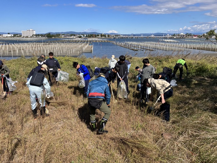 外来植物抜き取り作業中の写真