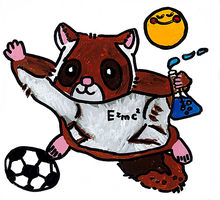 ムササビ