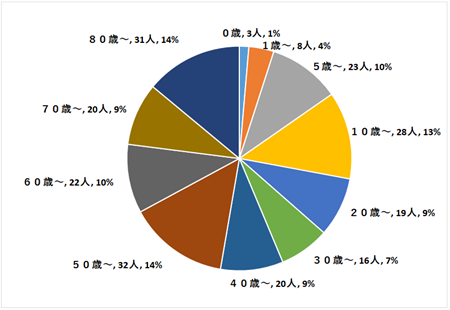 定点医療機関の年齢階級別患者数円グラフ