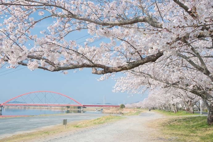 都田川堤