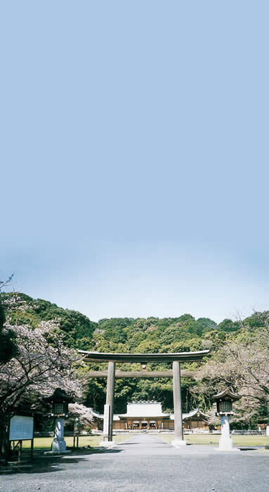 写真：鳥居と桜