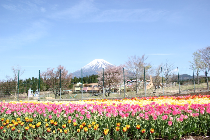 富士山こどもの国