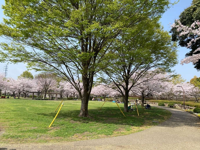 富士西公園