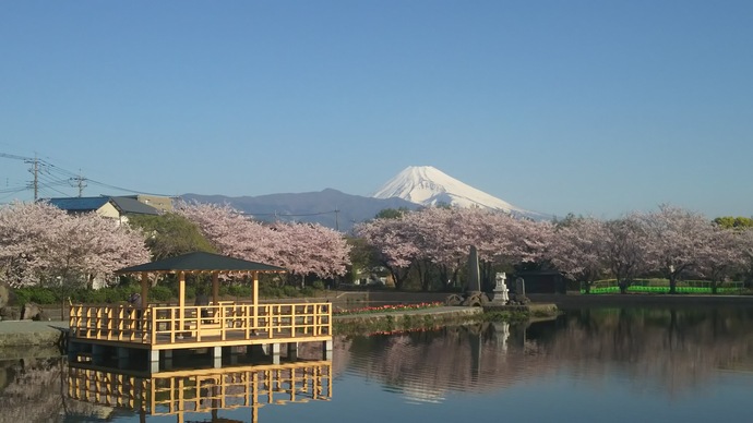 丸池公園