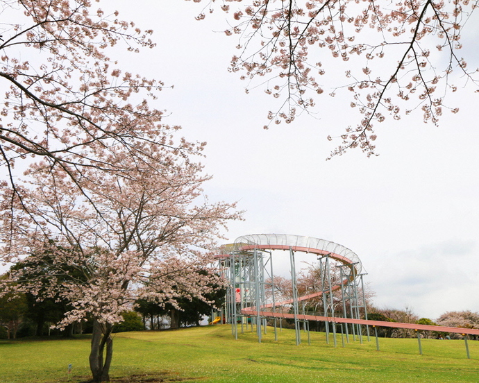 裾野市運動公園