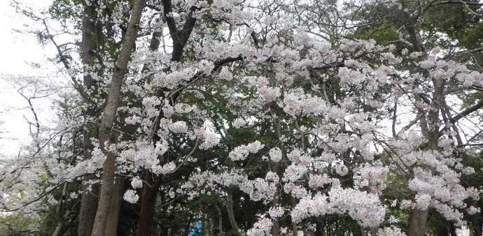 千本浜公園(児童遊園)