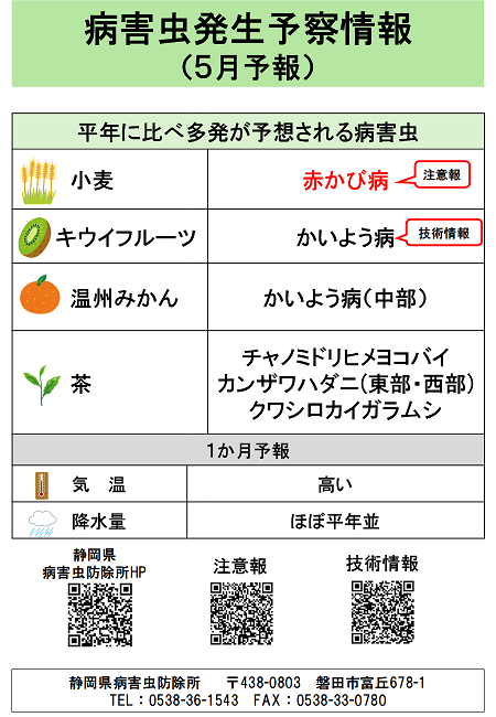 平年に比べ多発が予想される病害虫
