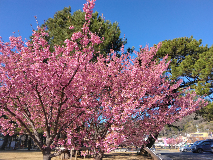 土肥松原公園