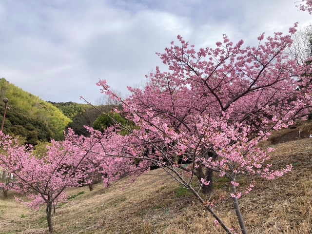 藤枝総合運動公園