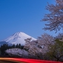 令和4年度　「未明の桜ロード」 飯田龍治