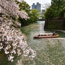 令和5年度　準特選「花ジュウタン」