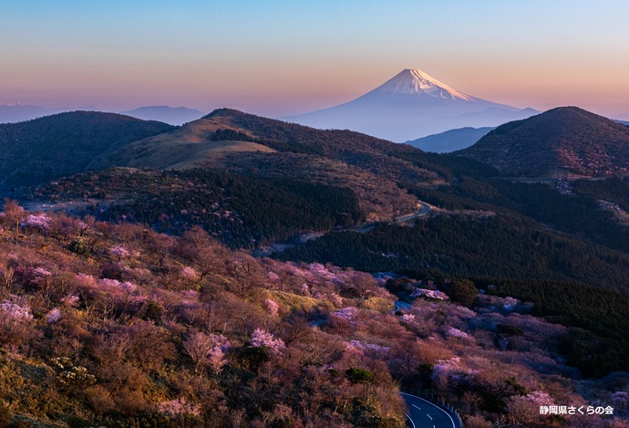 写真：最優秀賞「朝陽」