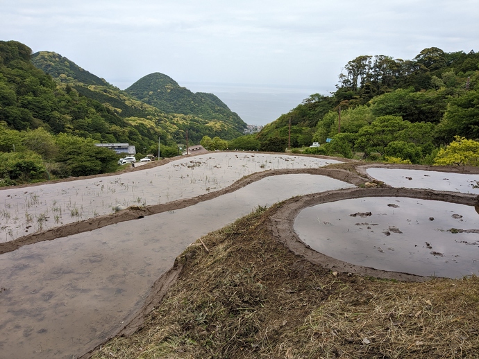 石部の棚田