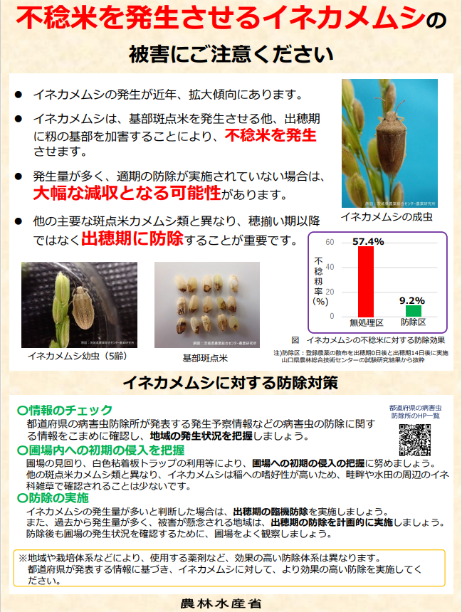 農林水産省チラシ：イネカメムシの被害及び防除対策について