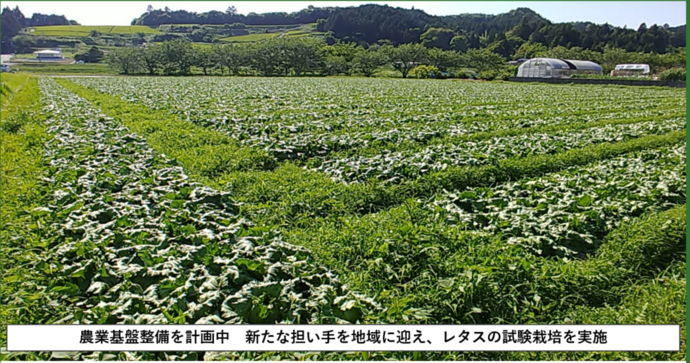 掛川市 大井川用水垂木地区