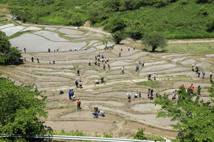 せんがまちの棚田の写真