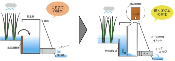 田んぼダム説明図