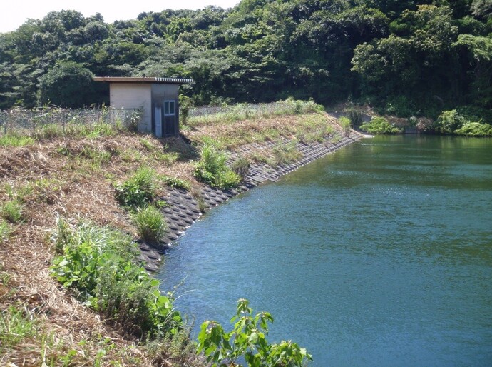 写真　堤体（堤防）整備　着手前