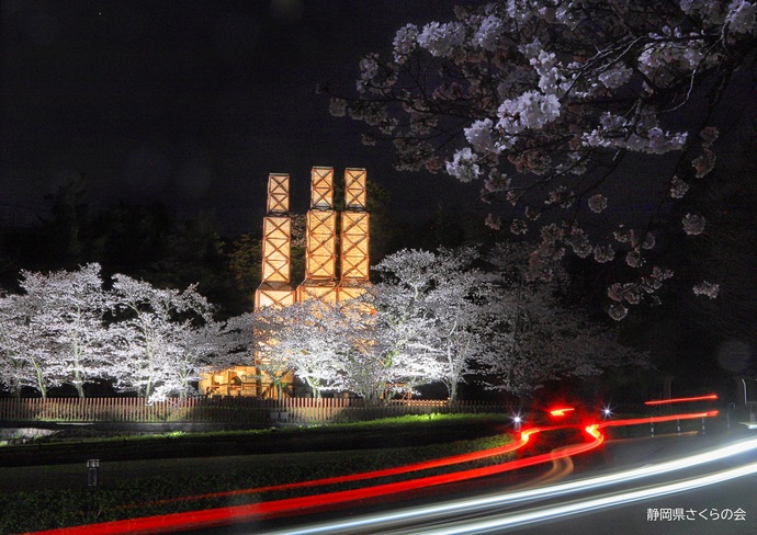 写真：最優秀賞「反射炉夜桜」