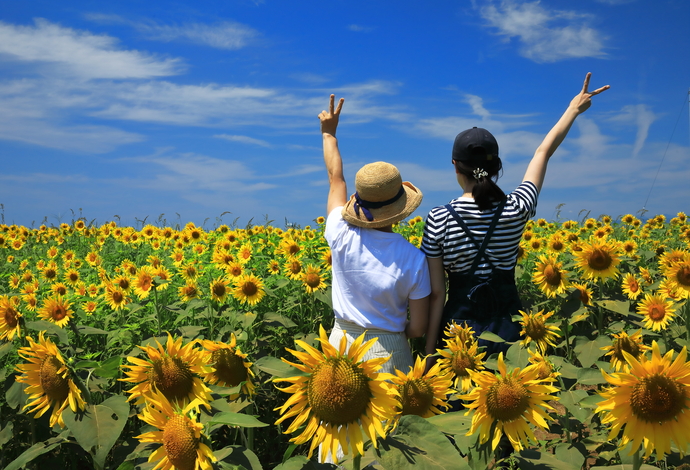 写真：夏の部特選