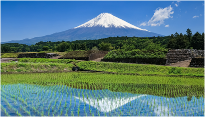 東部地域局