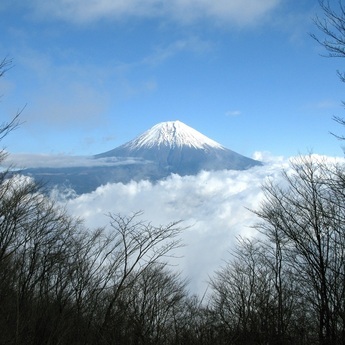 長者ヶ岳より(11月)富士山