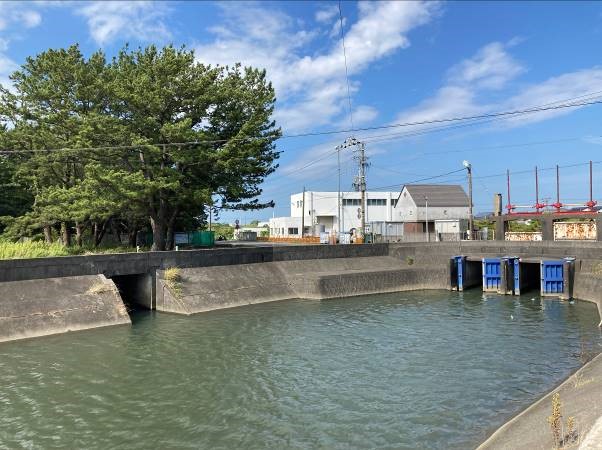 写真 藤守排水機場外観（下流から）