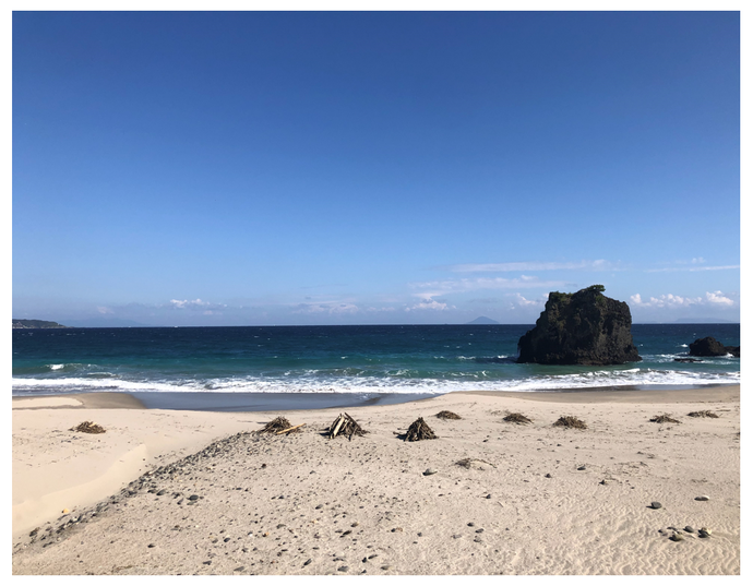 田牛の海の写真