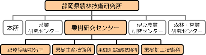 果樹研究センターの組織図