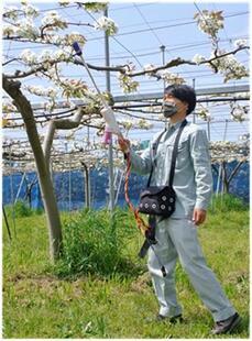 花粉使用料を削減できる静電風圧式受粉機を示した写真