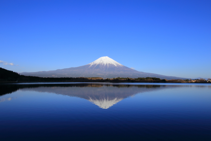 美しい富士山の写真