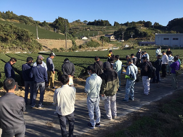 ほ場巡回の風景