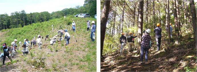 田中山県有林