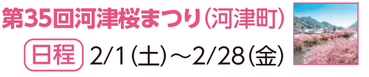第35回河津桜まつり（河津町）（外部リンク・新しいウィンドウで開きます）