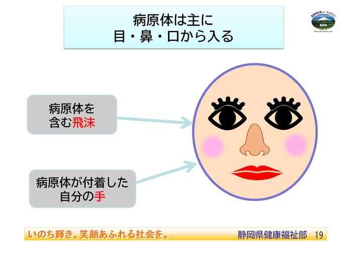 病原体の入り口に関するイラスト