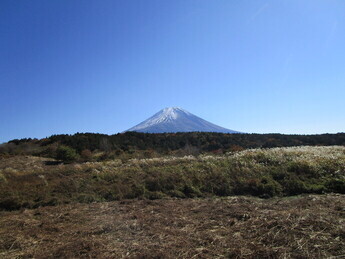 根原県有地から臨む富士山