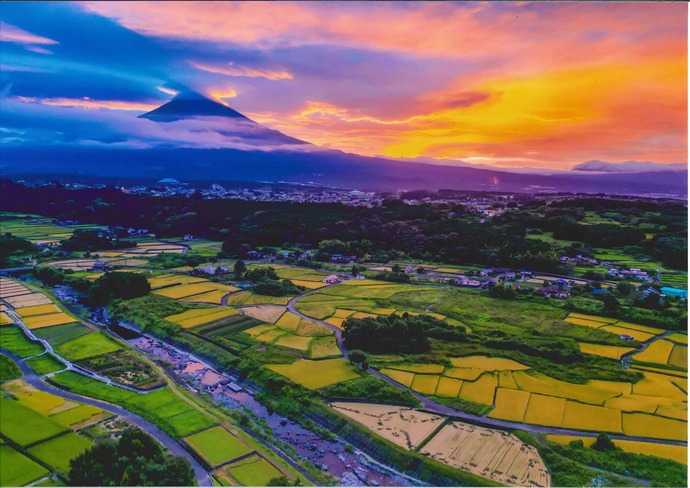 写真：夏の部特選