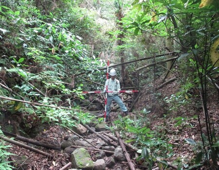 基礎調査実施の様子2