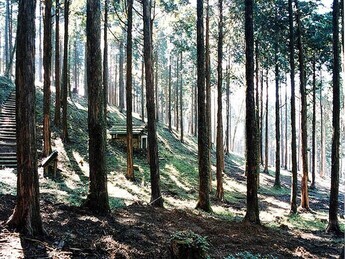 そまびとの森の写真