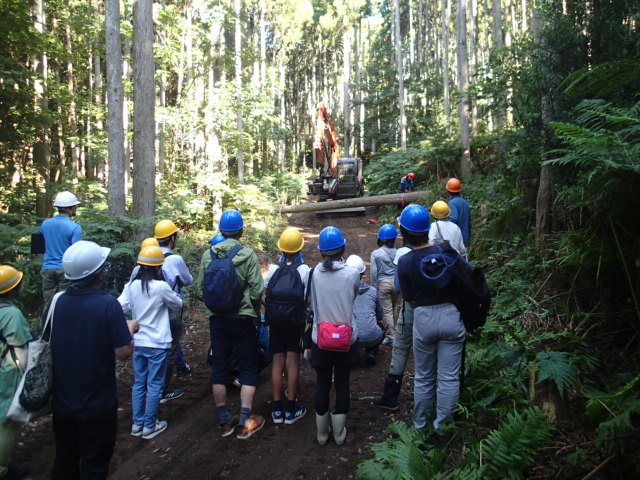 写真5　伐木見学1