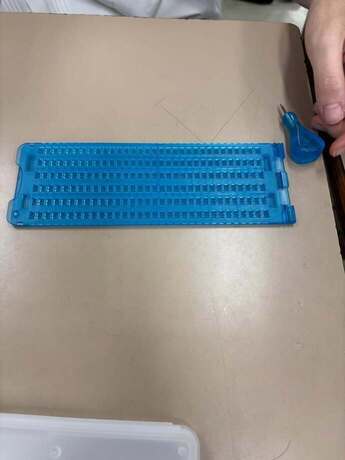 写真:藤枝順心高等学校