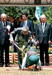 写真:第50回全国植樹祭1