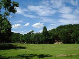 写真：浜北悠久の森(県立森林公園)