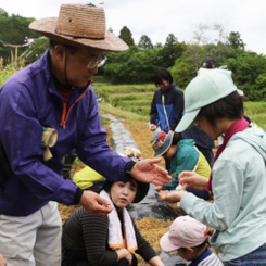 株式会社はうす
