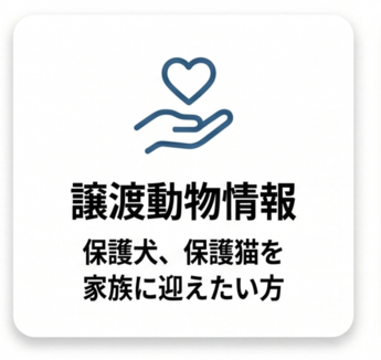 譲渡動物情報