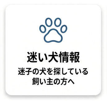 迷い犬情報