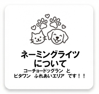 ネーモングパーツナー