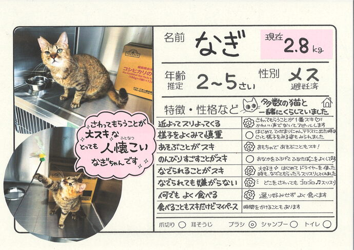 なぎ