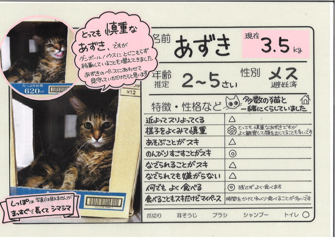 あずき